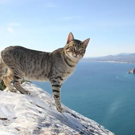 Apartman Barlovento - Plusholidays Ifach